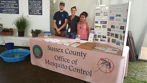 Mosquito Slide Show