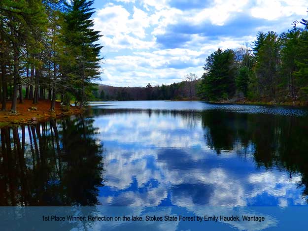 Reflections on the Lake